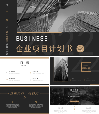 黑色企业项目计划书商业计划融资计划PPT模板