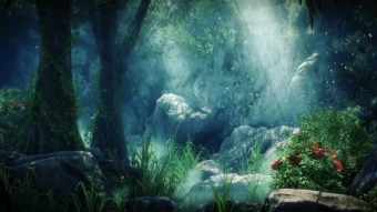 梦幻森林高清背景视频素材