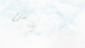 中国风二十四节气宣传视频背景