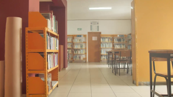 安静的暖色调图书馆空无一人实拍视频