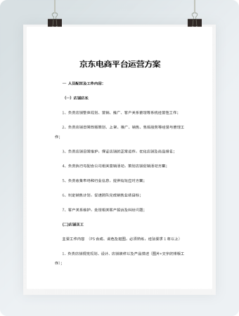 京东电商平台运营方案