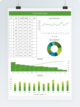 年度企业财务报表