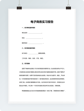电子商务实习报告模板
