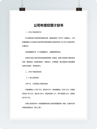 公司年度经营计划书