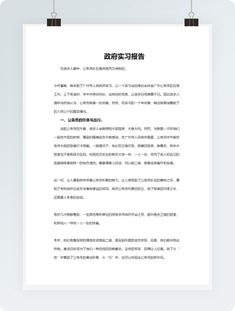 政府实习报告