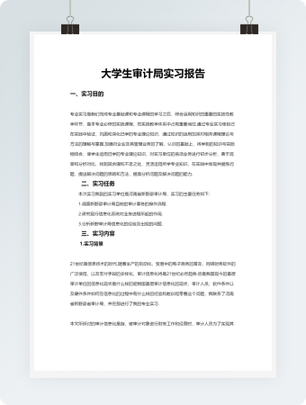 大学生审计局实习报告