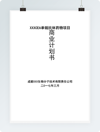 商业计划书范文完整版