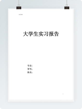 大学生实习报告