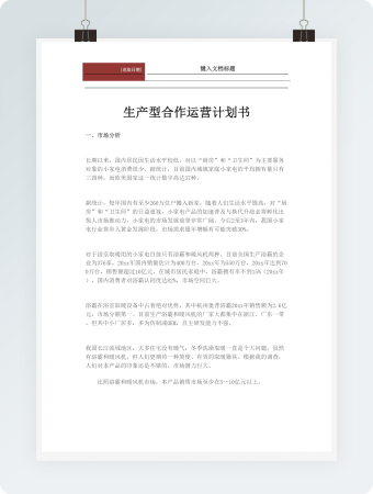 生产型合作运营计划书