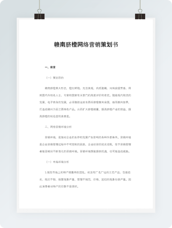 网络营销计划书