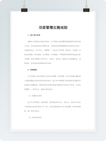 项目实施规划word