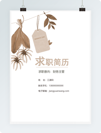 清新财务主管求职简历模板