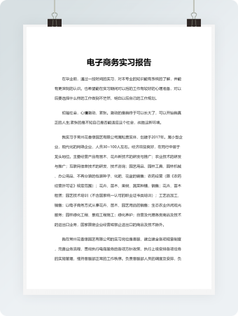  电子商务实习报告