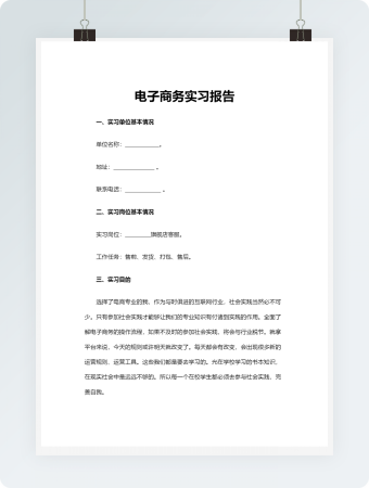 电子商务实习报告word