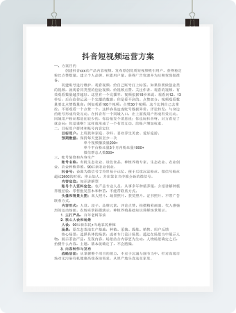 抖音短视频运营方案 (食品类)