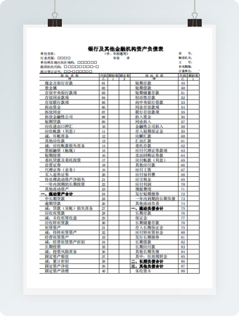 银行及其他金融机构资产负债表