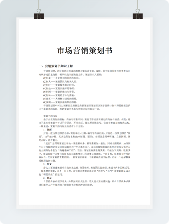 市场营销策划书