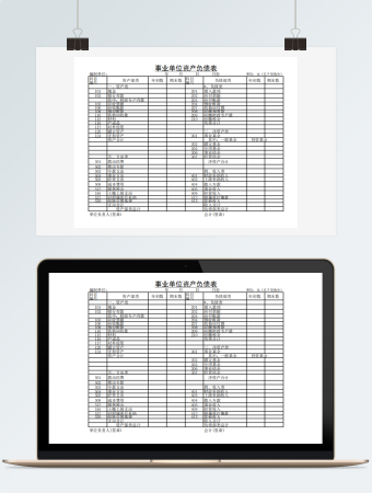 事业单位资产负债表  