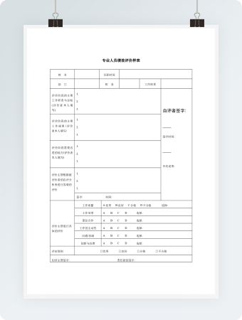 专业人员绩效评价样表