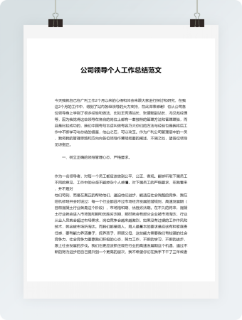 公司领导个人工作总结范文