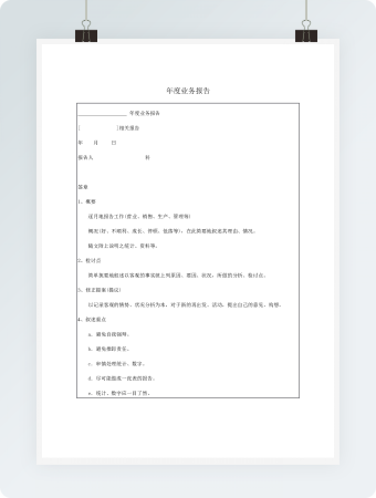 年度业务报告