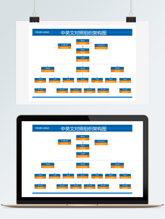 中英文对照组织架构图