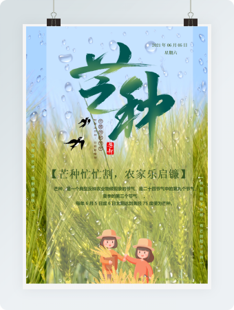 芒种海报word模板