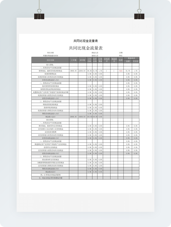 共同比现金流量表