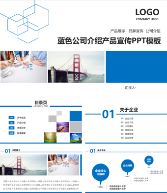蓝色简约公司介绍及产品介绍