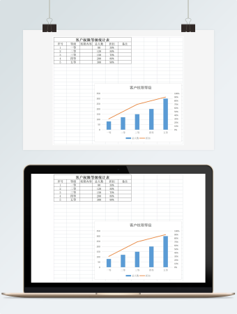 客户权限等级统计表