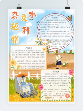 杂交水稻科目海报模板