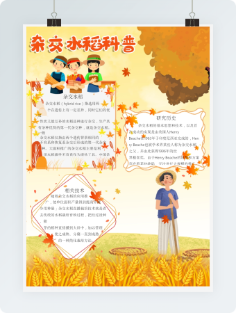杂交水稻科普海报