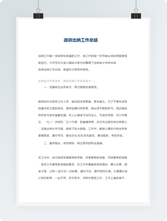 政府出纳工作总结