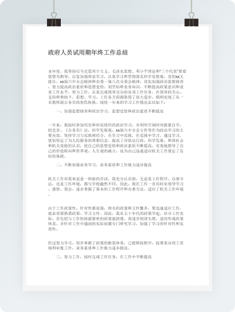政府人员试用期年终工作总结