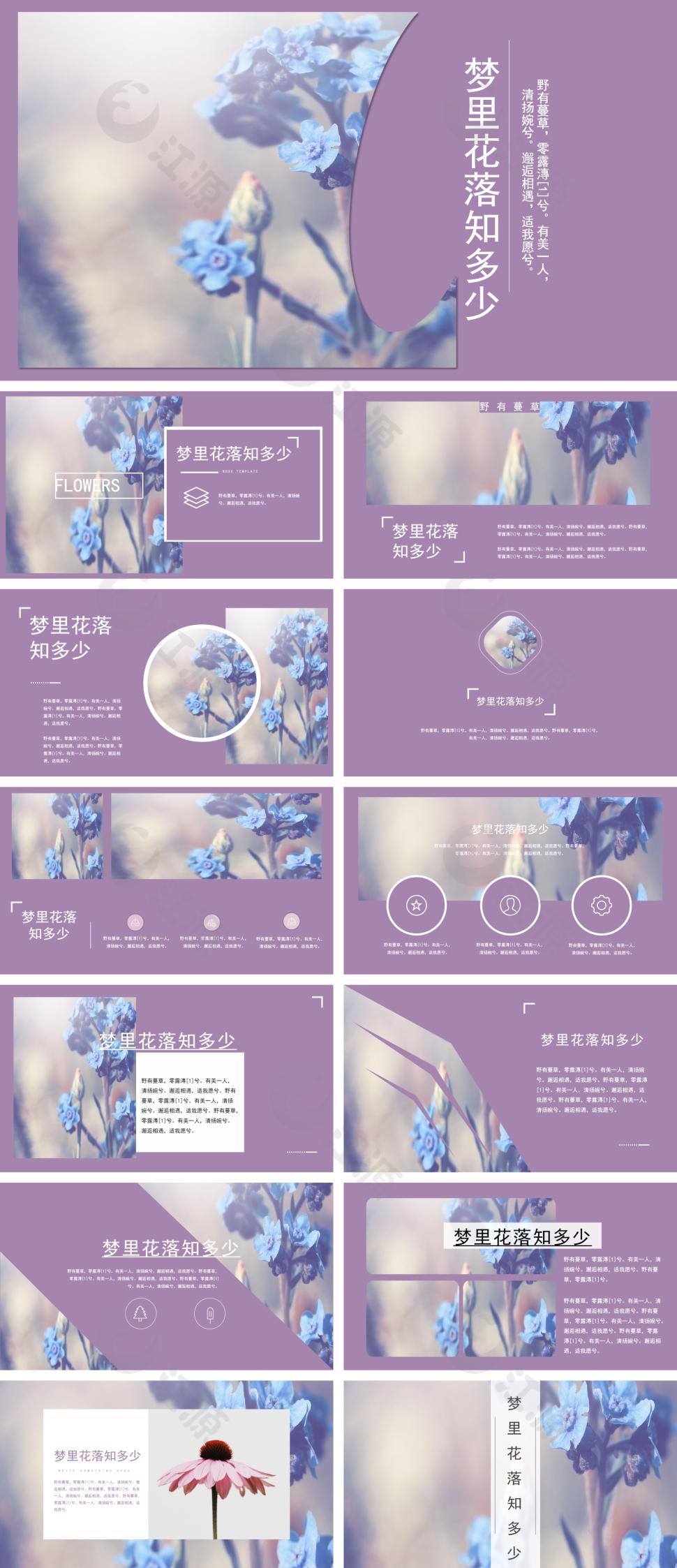 杂志风高雅紫相册图片展示PPT模板