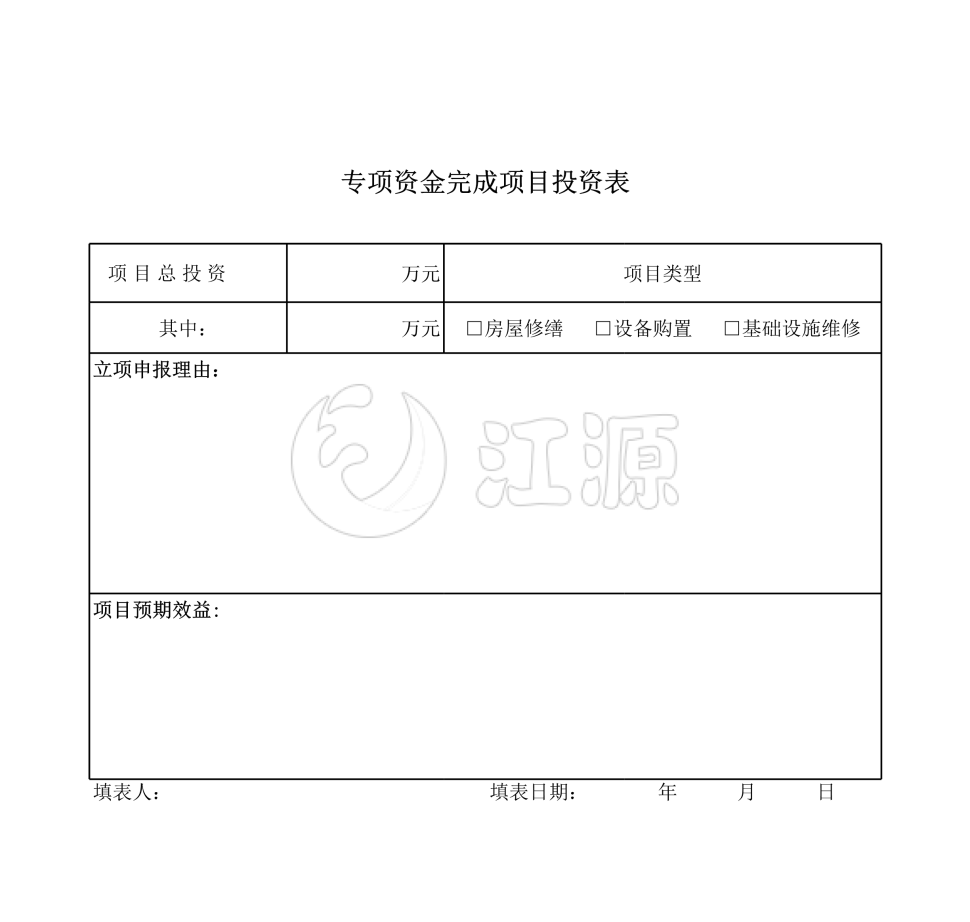 专项资金完成项目投资表