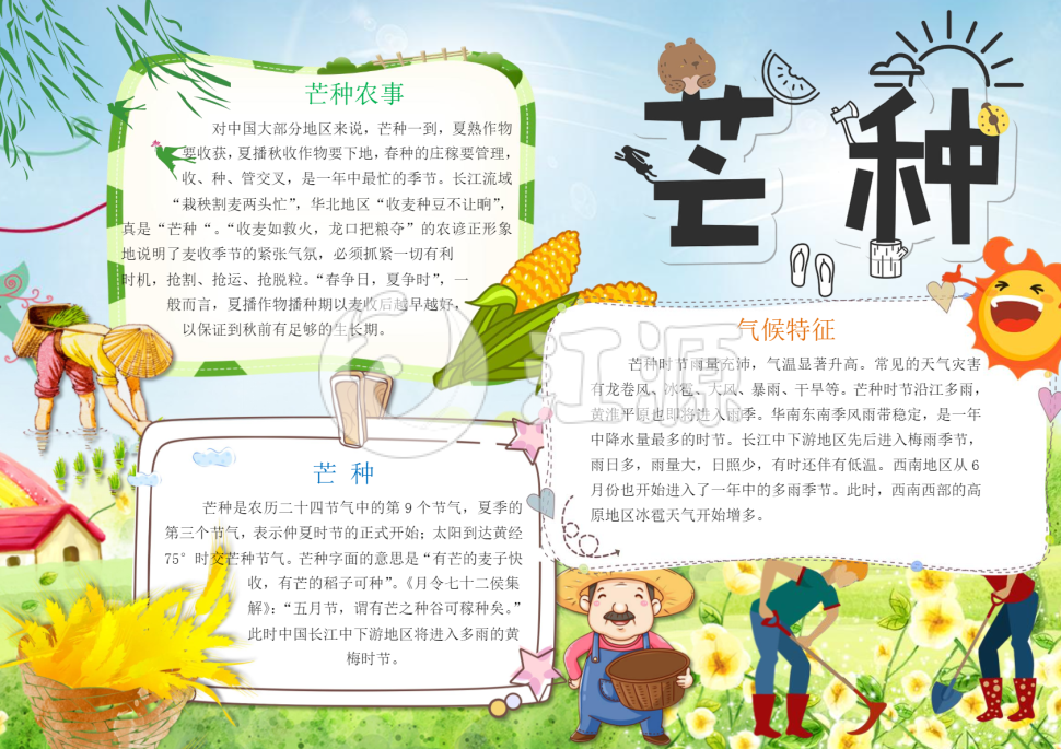 芒种二十四节气小报手抄报word模板
