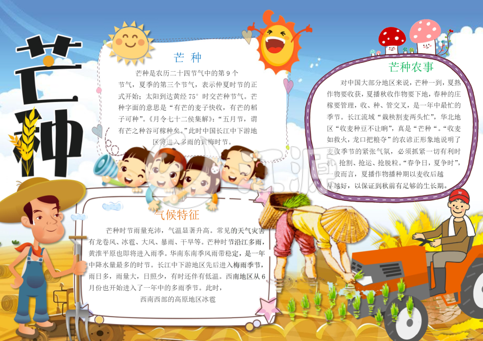芒种节气小报手抄报word模板
