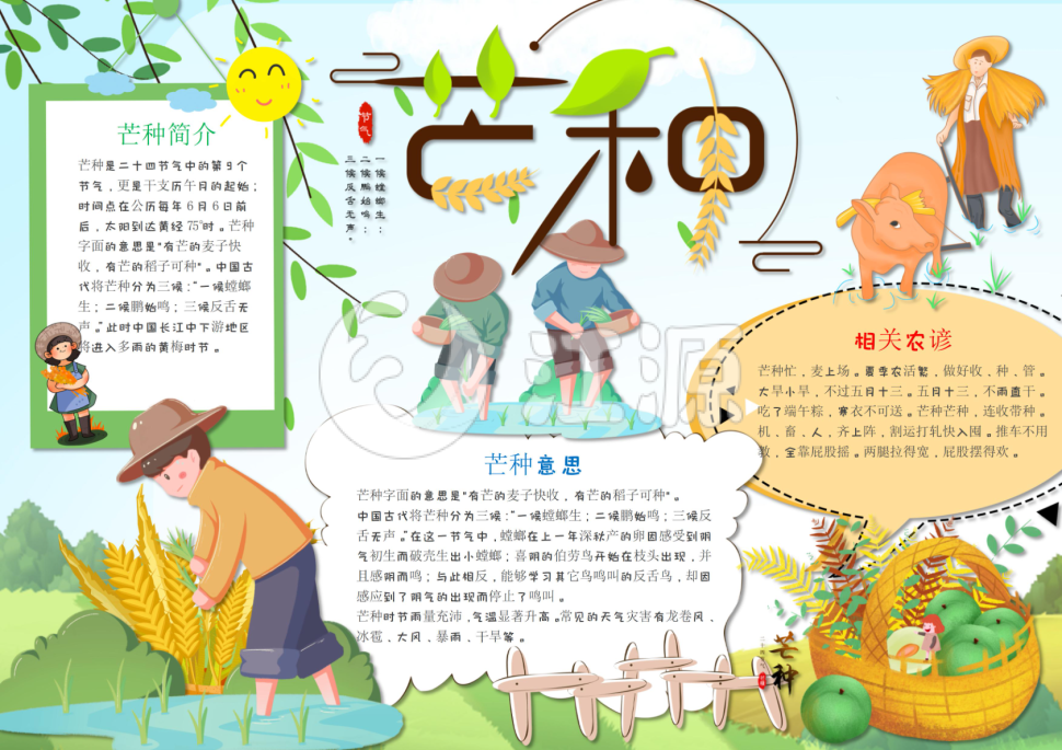 小清新芒种手抄小报