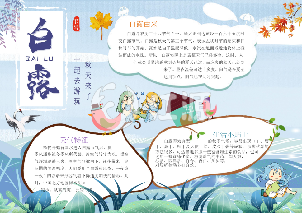 白露节气小报手抄报word模板