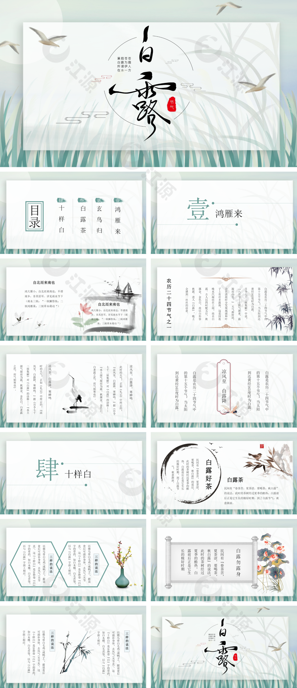 青色中国风二十四节气白露节气