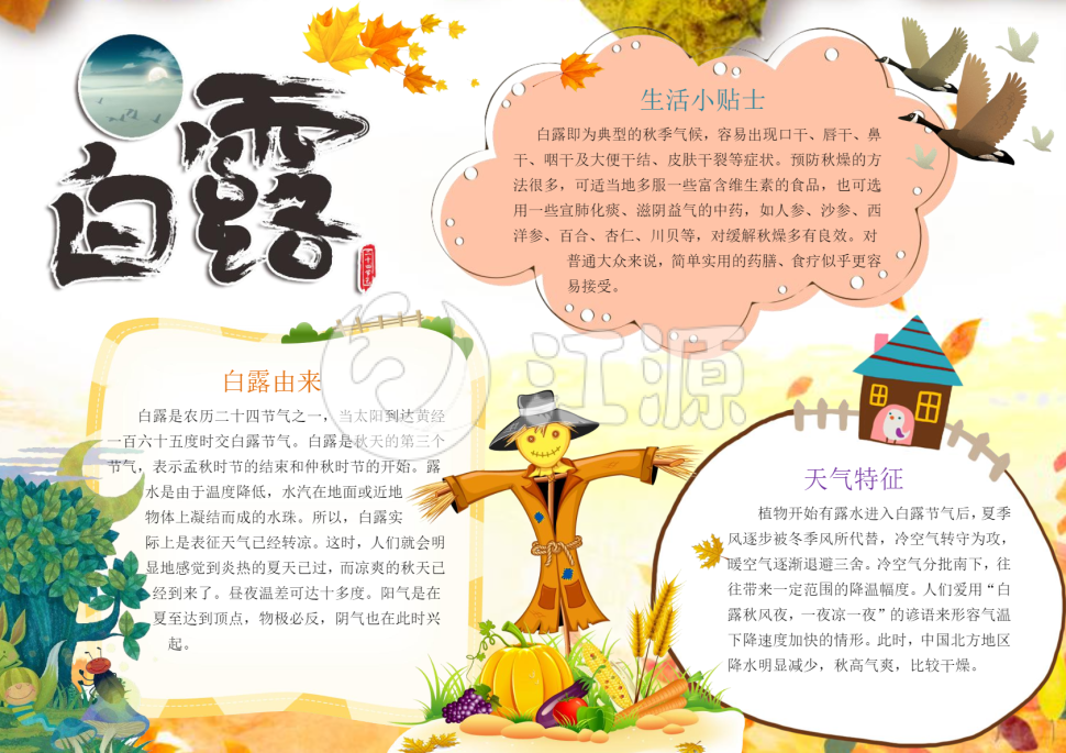 秋天白露节气手抄报word模板