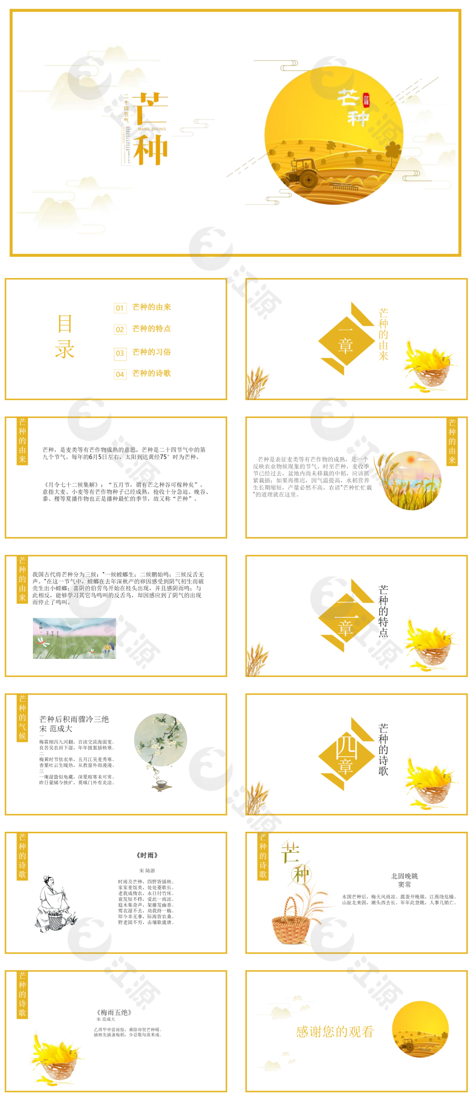 黄色简约风芒种PPT