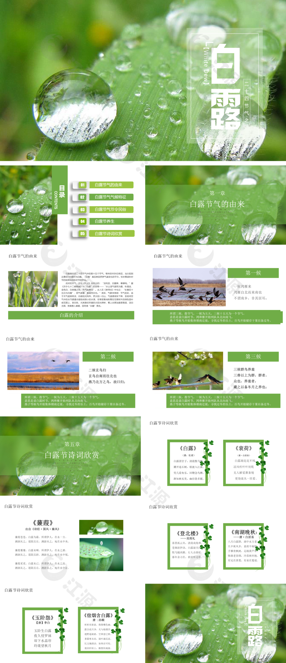绿色小清新白露节气PPT模板