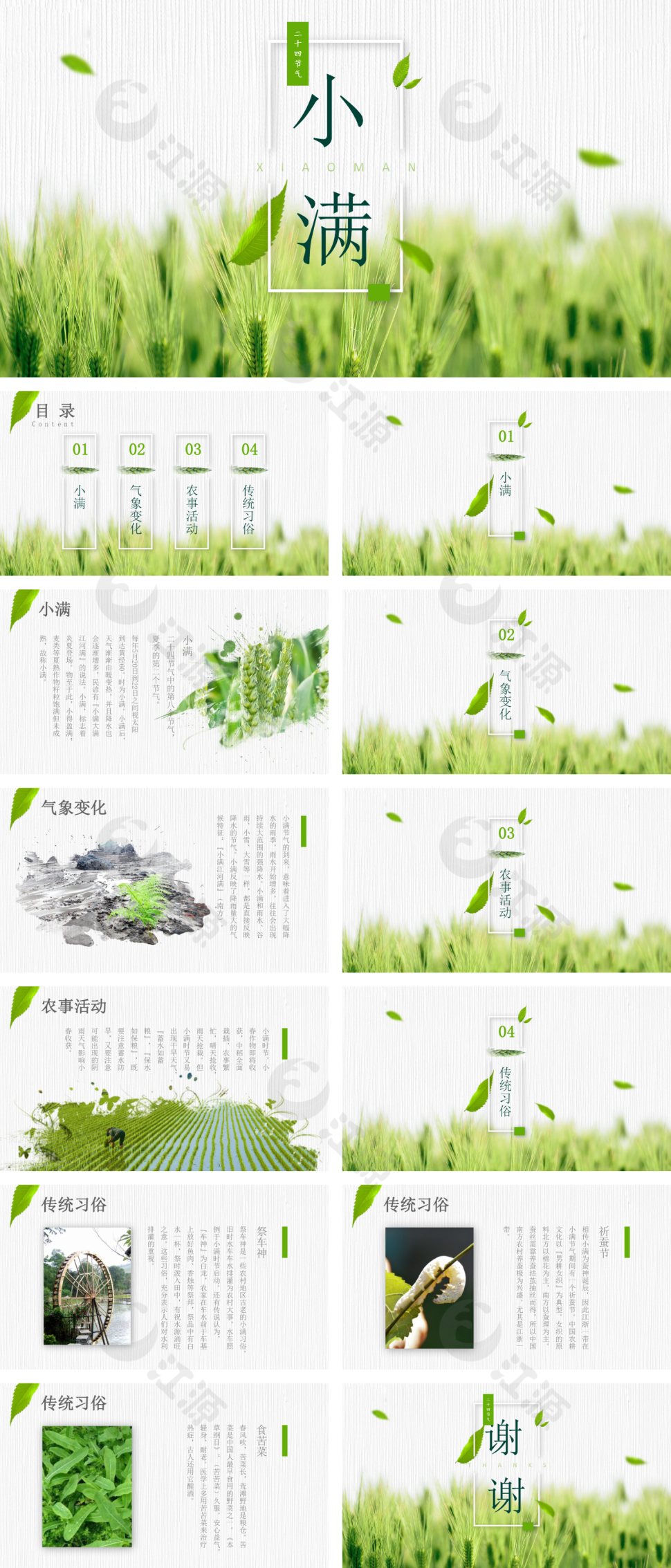 绿色简约清新小满二十四节气ppt模板