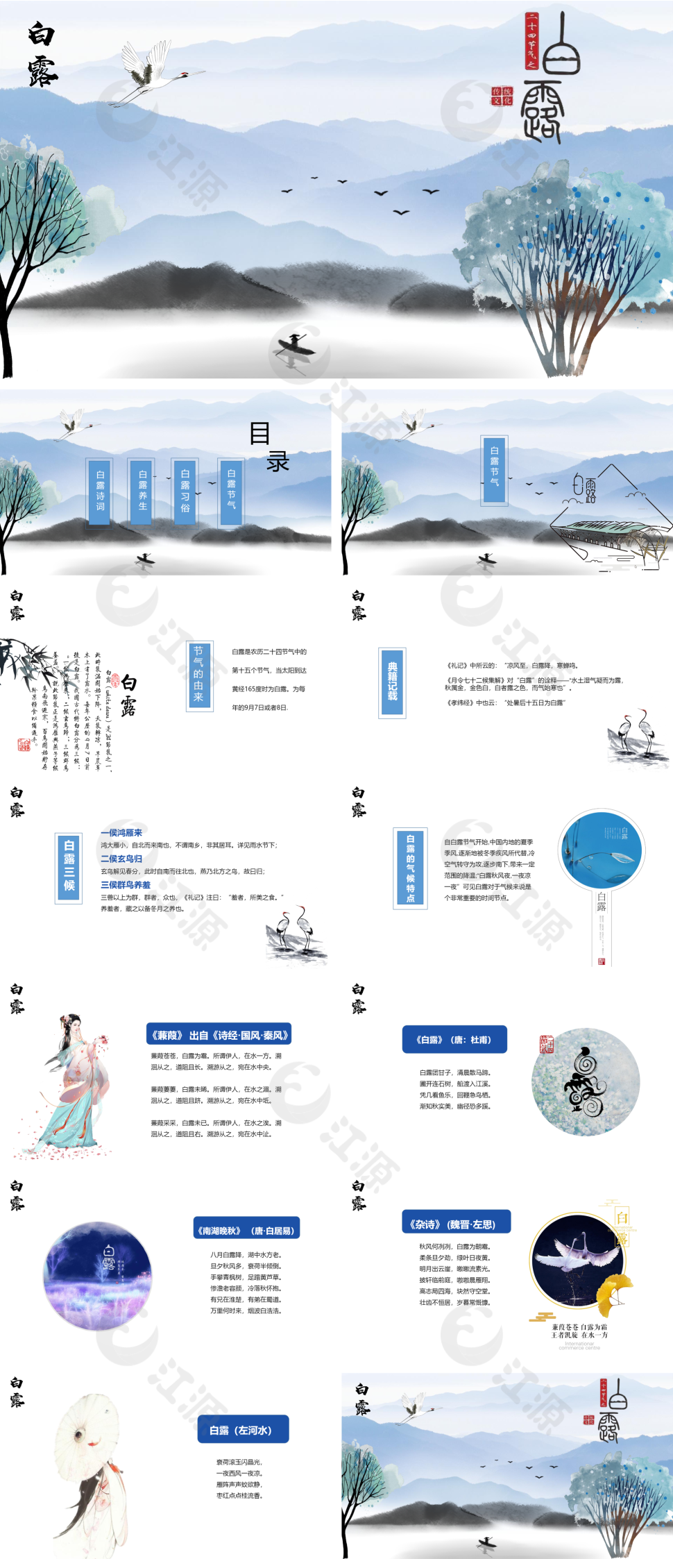 中国风二十四节气之白露
