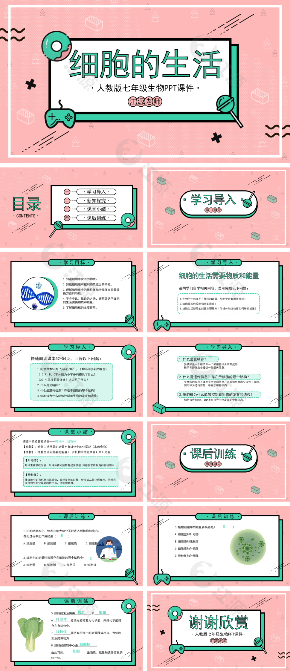 人教版七年级生物《细胞的生活》PPT课件