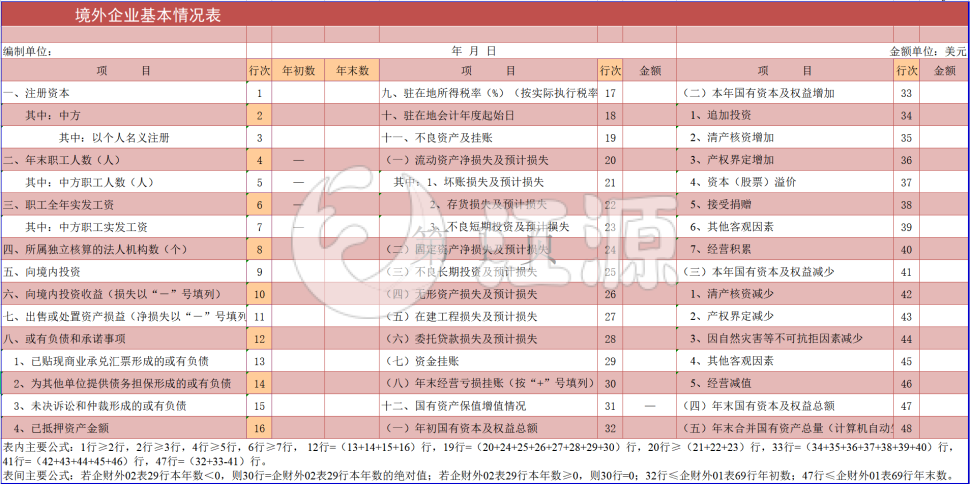 境外企业基本情况表