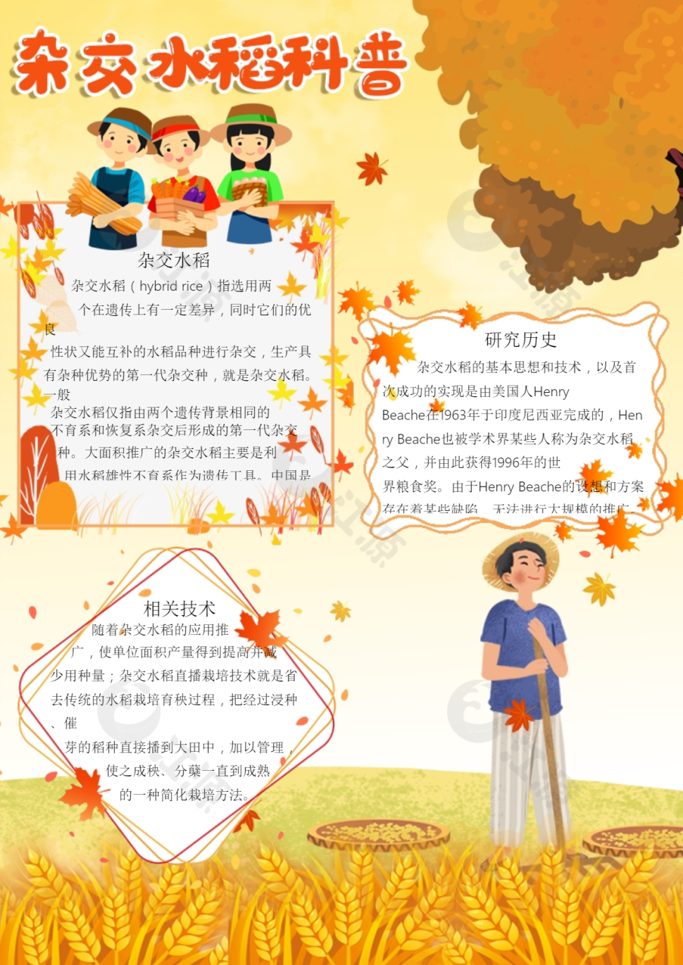 杂交水稻科普海报