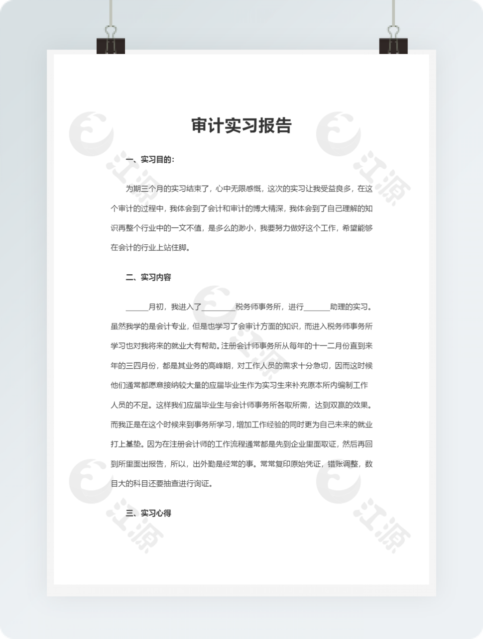 审计实习报告Word模板3